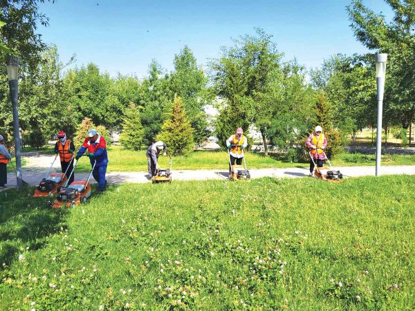 «Таза Қазақстан: В Шымкенте провили уборку территории