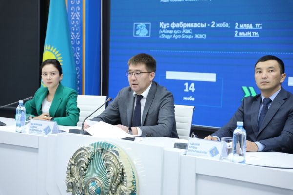 Шымкент: Более 23 тысяч собак подвергли эвтаназии