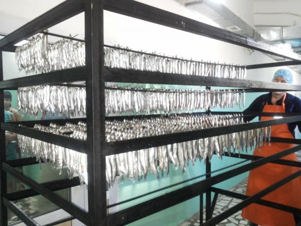 Шымкент: При поддержке фонда &laquo;Даму&raquo; запустили рыбокоптильный цех