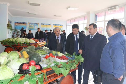 Түркістан облысы: Мақтаарал ауданында "Алтын күз-2019" мерекелік іс-шарасы өтті