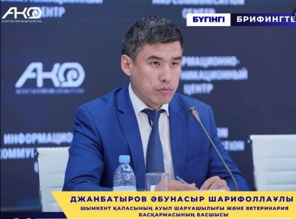 В Шымкенте в 2023 году засеяно 26,4 тысяч гектар сельскохозяйственных культур
