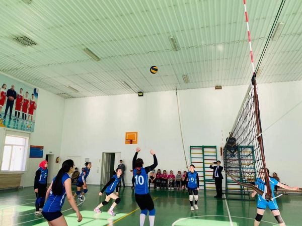 На участие в проекте &laquo;Молодежная лига Шымкента&raquo; подали заявки 536 команд