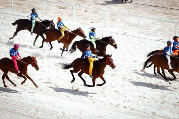 В Шымкенте прошел отбор на чемпионат страны по байге