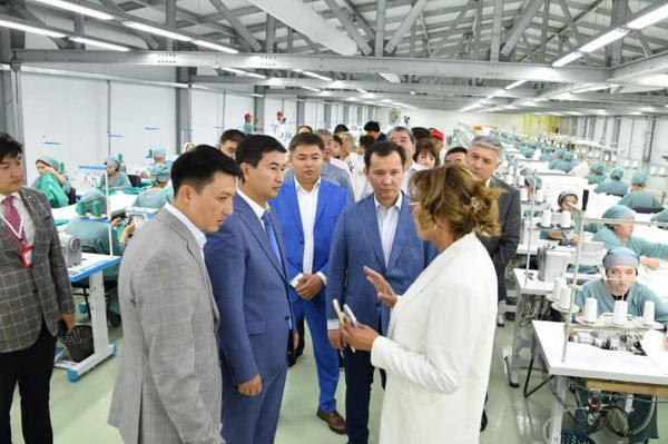 Ко Дню города запущен инвестиционный проект