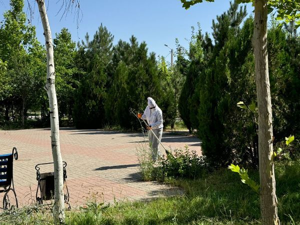 Шымкент: Жители &quot;Асара&quot; проявили активность в уборке