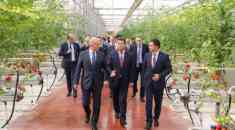 Шымкент: В тепличном комплексе «Alsera KZ» собран первый урожай