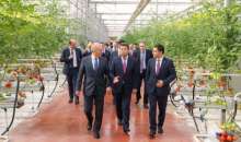 Шымкент: В тепличном комплексе «Alsera KZ» собран первый урожай