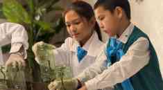 «Таза Қазақстан»: Жители Шымкента вносят вклад в улучшение экологического облика города