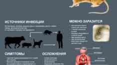 Осторожно, лептоспироз!